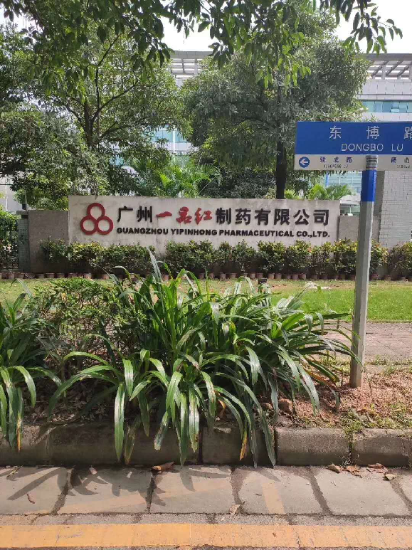 一品红